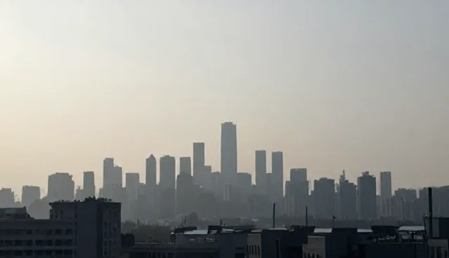 管理软件在不同区域的使用差异及应对策略